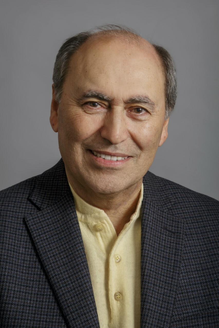 Mikhail Kopelman